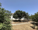 4 bedroom detached house in Larnaca Oroklini Area