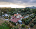 3 bedroom detached house in a large field in Pyrga Larnaca