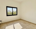 4 bedroom detached house in Larnaca Perivolia for Rent and Sale