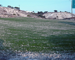 On Offer Residential Field  5017 m2  in Larnaca Mazotos Area 