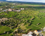 Residential Field 6690 m2 in Larnaca Mazotos Area