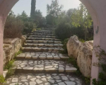 3 to 5 bedroom Detached Villa in Larnaca Mosfiloti Area