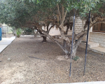 5 bedroom detached house in Larnaca Oroklini Area
