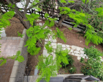 3 Bedroom Seaside Villa in Larnaca Dekelia 