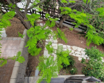 2 Bedroom Seaside Villa in Larnaca Dekelia 