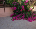 5 bedroom house in Larnaca Aradippou Metropolis Mall Area