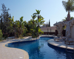 1 bedroom apartment in Larnaca Tersefanou Area