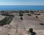 8027 m2 Sea View Touristic field in Agios Theodoros Area
