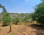 5 bedroom Villa in Larnaca Pascal School Area
