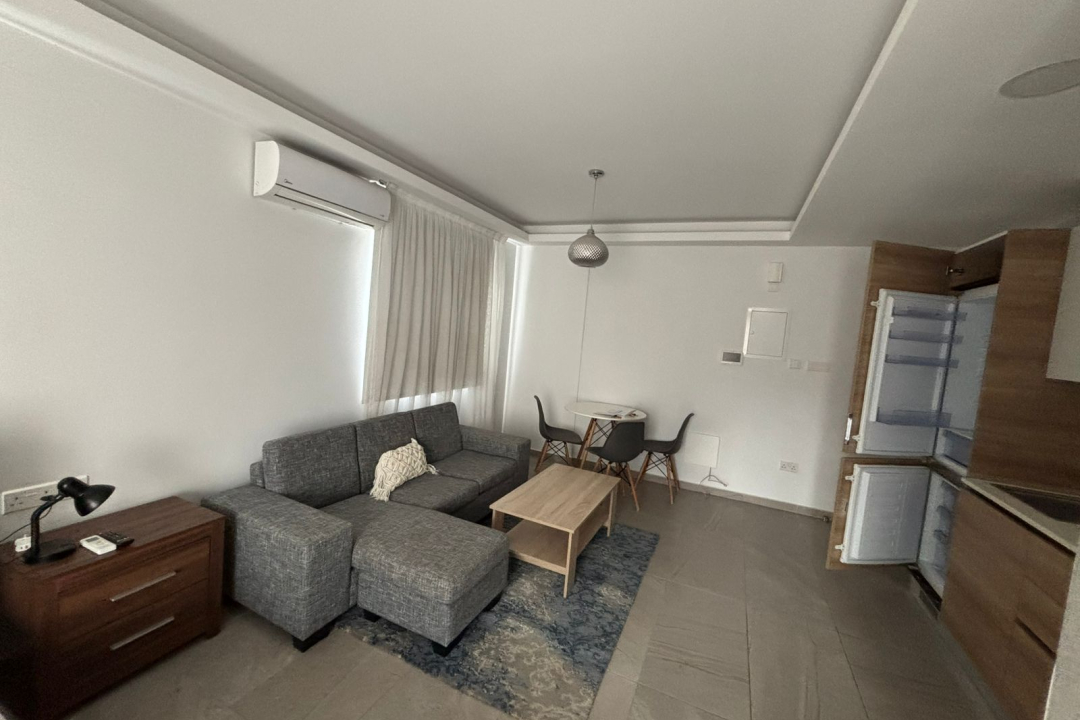 Studio apartment in Larnaca Sotiros Area