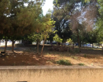2 bedroom apartment to rent in Larnaca Livadia Area
