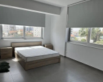 2 bedroom penthouse to rent in Larnaca Alphamega Area